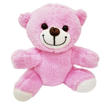 Pembe Peluş Ayıcık Kar Küresi Ve Pembe Çikolata Not Defteri