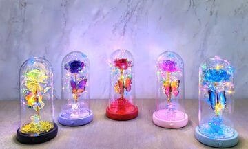 Işıklı Müzikli Romantik Kelebekli Fanus