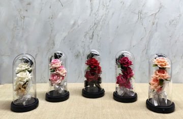 Işıklı Müzikli Cam Fanus İçinde Romantik Gül