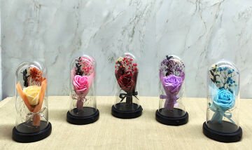 Işıklı  Müzkli Dekoratif Cam Fanus İçinde Gül