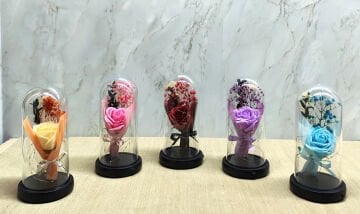 Işıklı  Müzkli Dekoratif Cam Fanus İçinde Gül