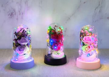 Işıklı Müzikli Romantik Fanus Tekli Gül