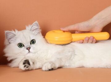 Hamburger Şekilli Otomatik Temizlenen Evcil Hayvan Fırçası