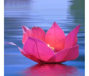 Nilüfer Su Çiçeği Su Feneri