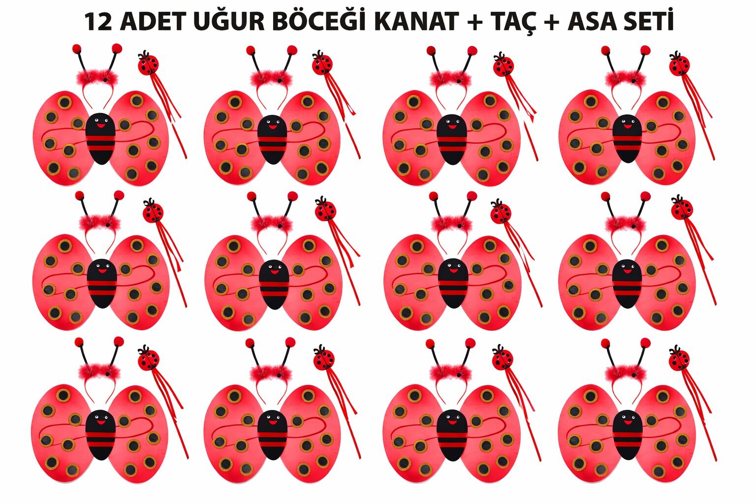 Uğur Böceği Kostüm Seti Kanat Taç Asa 3 Parça 12 Adet