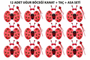 Uğur Böceği Kostüm Seti Kanat Taç Asa 3 Parça 12 Adet