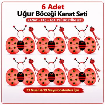 Uğur Böceği Ateş Böceği Kostüm Seti – Kanat Taç Asa
