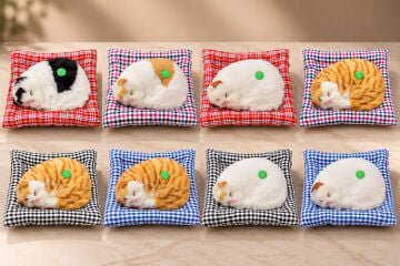 Yastıkta Uyuyan Kedi Sesli