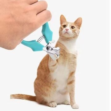 Yaylı Kedi Ve Küçük Irk Köpek Tırnak Makası