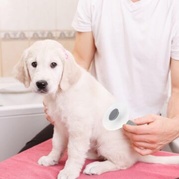 Kedi Köpek Tüy Toplayıcı  Pet Tarak 20 cm