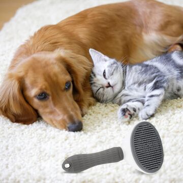 Kedi Köpek Tüy Toplayıcı  Pet Tarak 20 cm