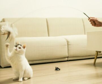 Vantuzlu Tüylü Zilli Kedi Oyun Oltası