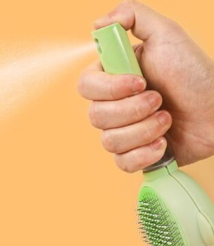 Basmalı Telli Su Sprey Hazneli Hayvan Fırçası 2 in 1