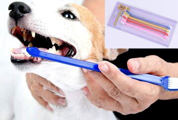 Çift Taraflı Kedi Köpek Diş Fırçası 4 lü set